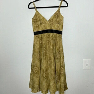 Max and Cleo silk gold nude feminine dress size 6